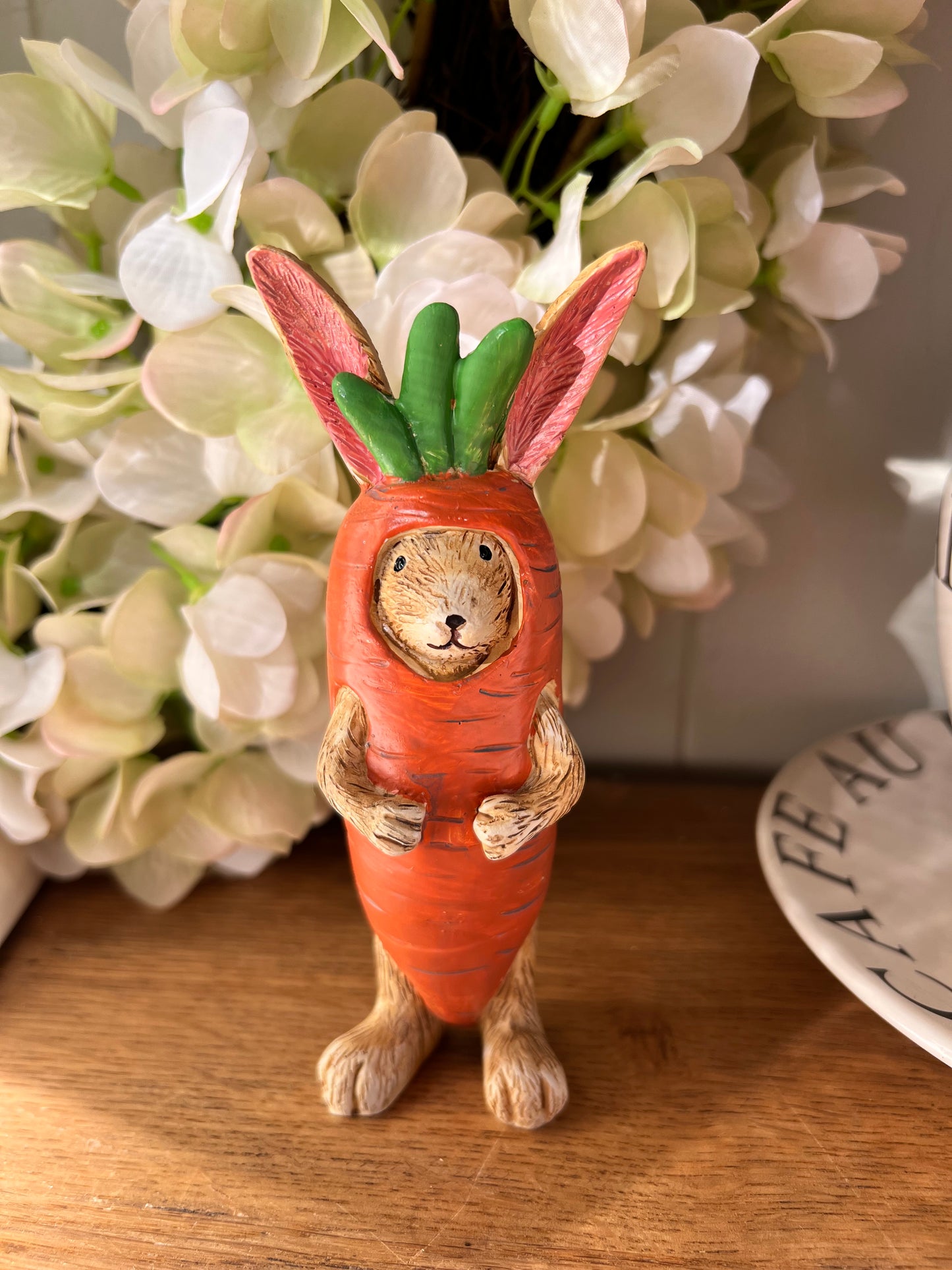 Jasper Rabbit Carrot Costume