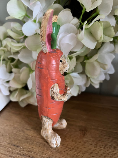Jasper Rabbit Carrot Costume