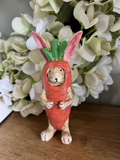 Jasper Rabbit Carrot Costume