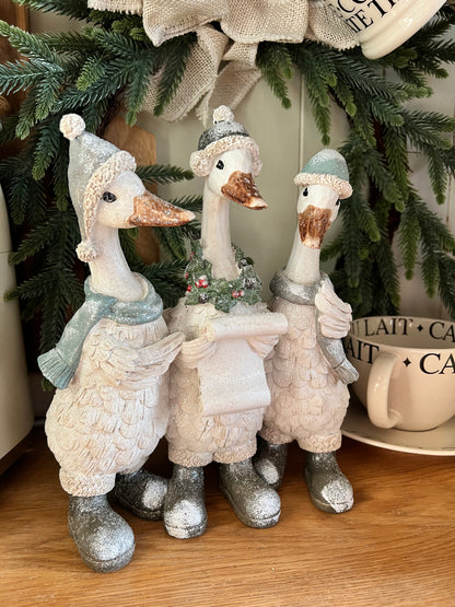 Carol Singing Ducks