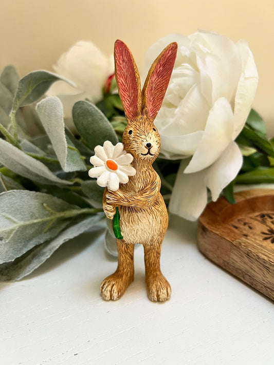 Jasper Rabbit Daisy