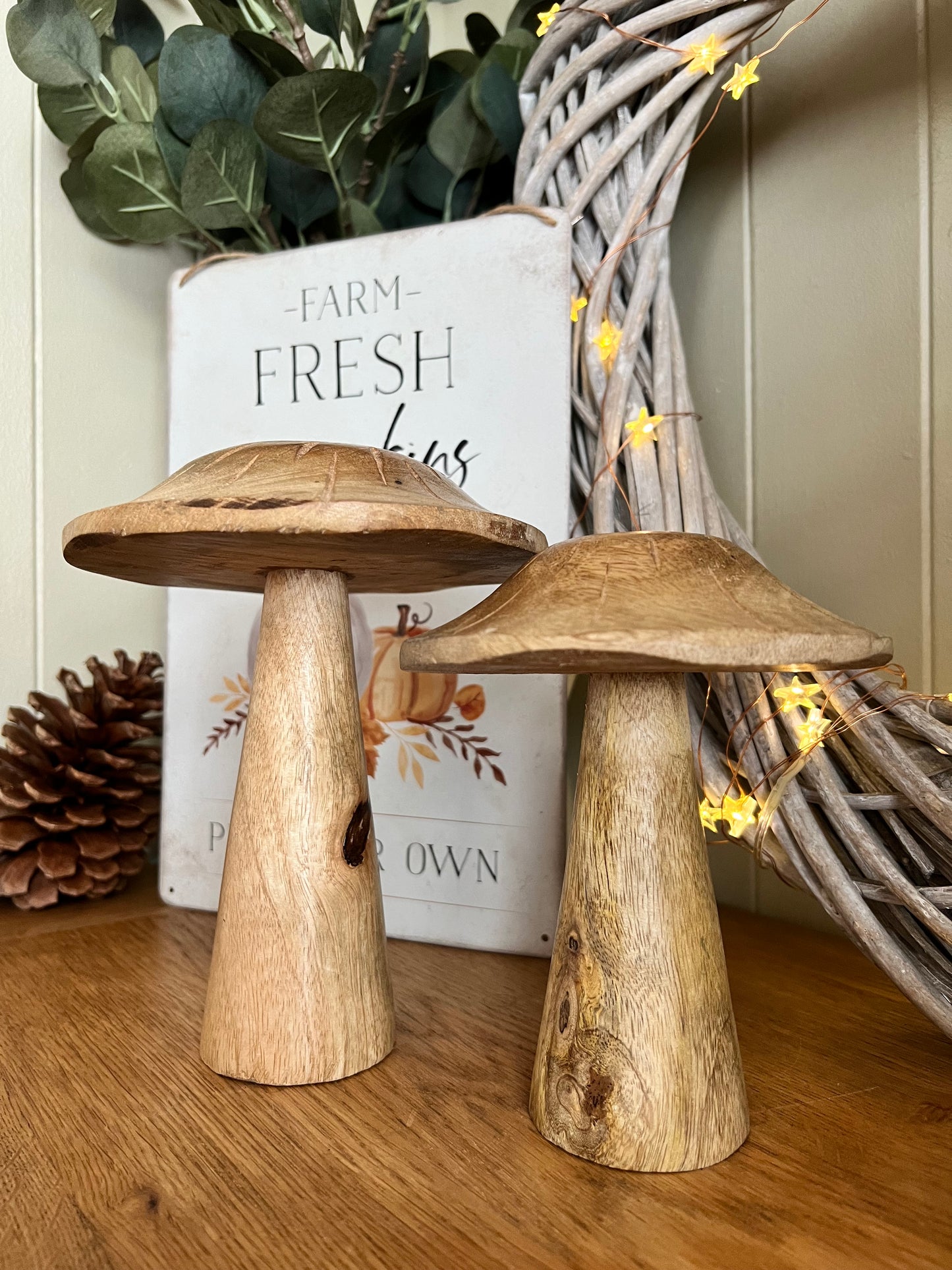 Wooden Mushrooms (Sold Individually)